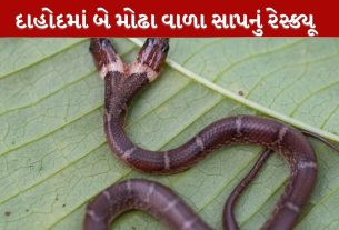 Dahod
