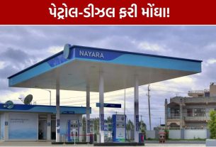 Nayara Energy Petrol Price: પેટ્રોલ ₹5, ડીઝલ ₹3 મોંઘું