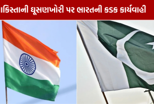 Pakistan Infiltration: ભારતનો કડક એક્શન, પાક ઉચ્ચાયોગને તલબ