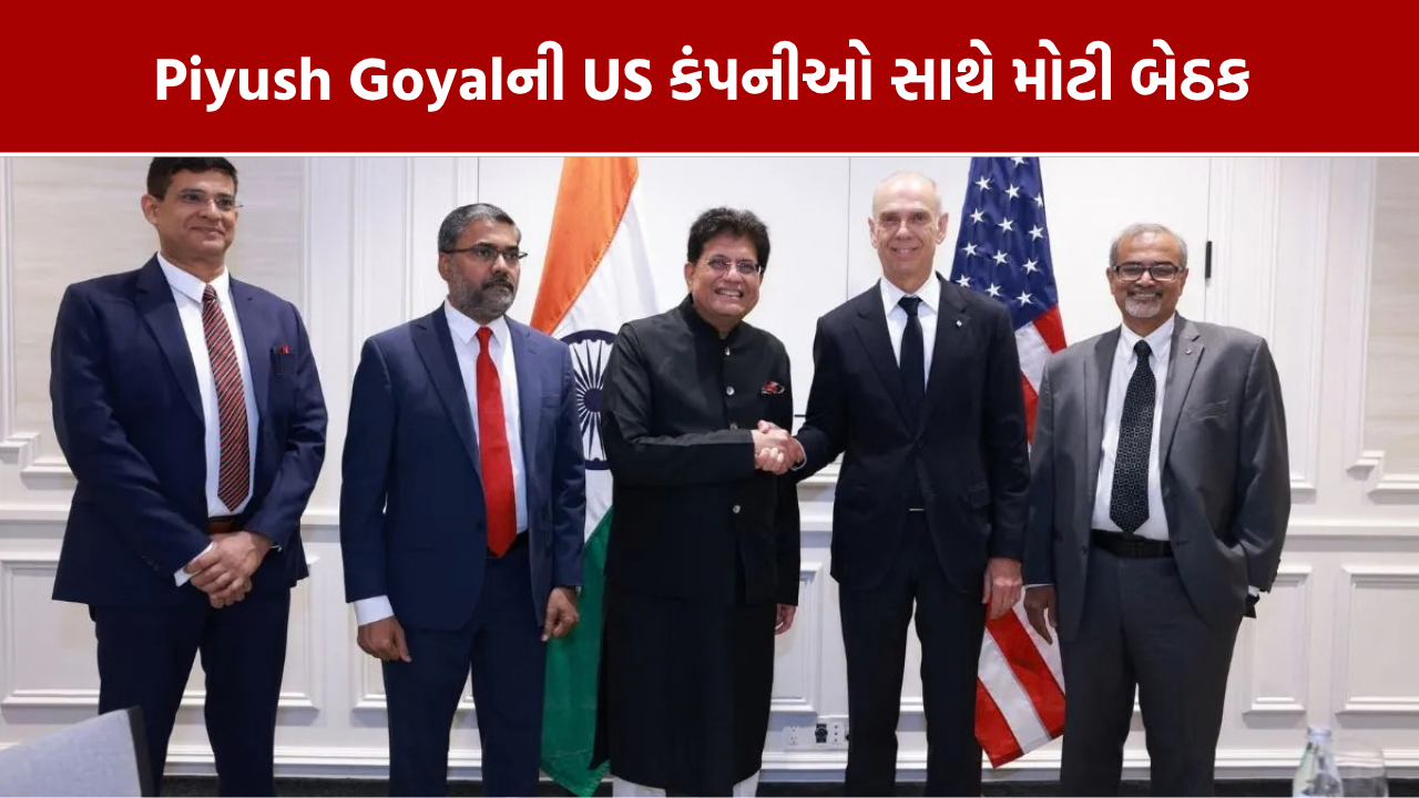 Piyush Goyal US Companies Meeting: ભારતમાં રોકાણ પર ચર્ચા