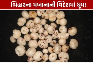 Bihar Makhana Export: 20થી વધુ દેશોમાં પહોંચ્યું મખાના, મોટું લક્ષ્ય