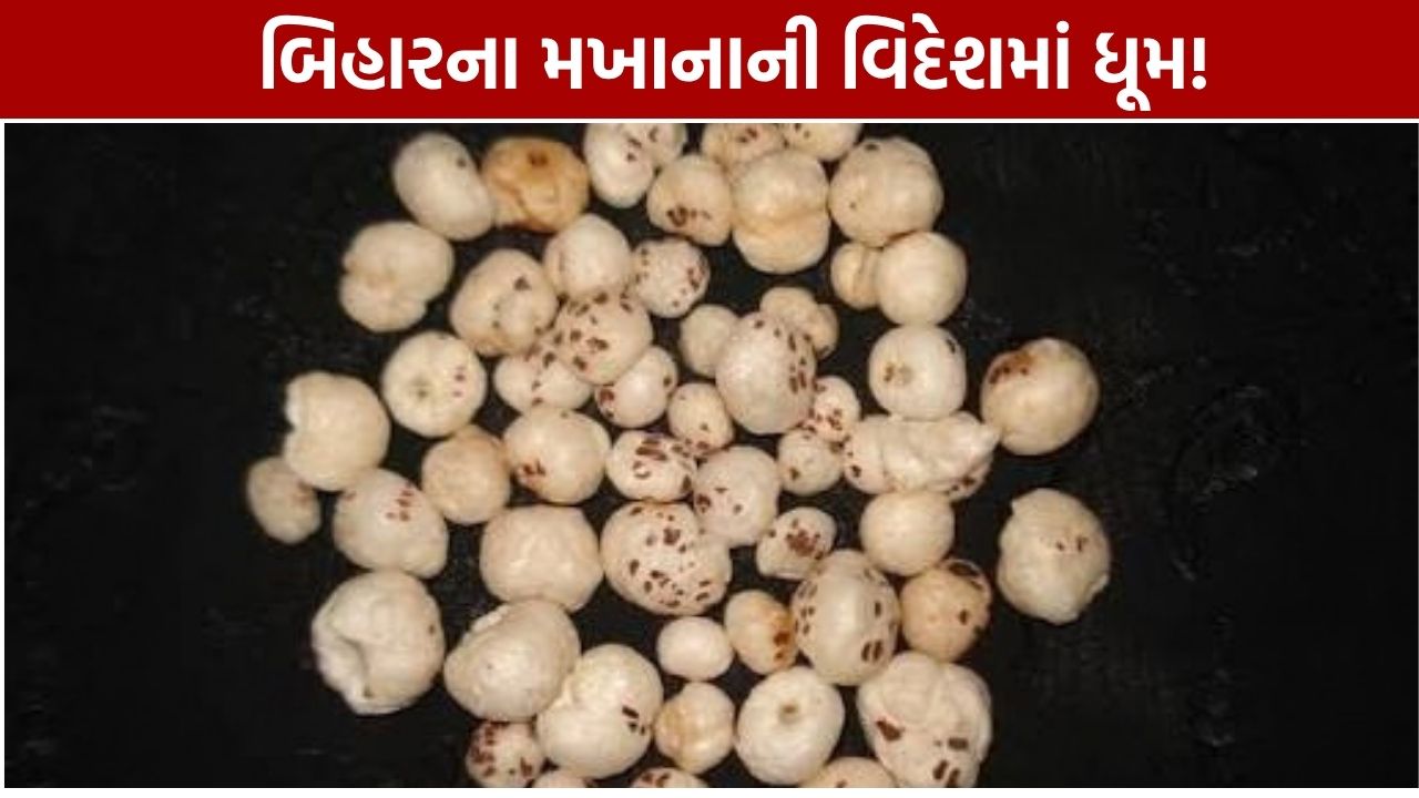 Bihar Makhana Export: 20થી વધુ દેશોમાં પહોંચ્યું મખાના, મોટું લક્ષ્ય