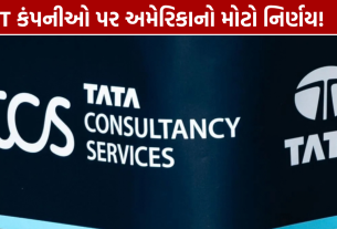 Indian IT Companies: Green Card અરજીઓ ઘટી, અમેરિકાની કાર્યવાહીથી ખાસ અસર નહીં