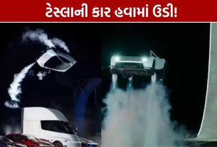 Tesla Flying Car: હવામાં ગુલાટી મારી ટેસ્લાની કાર, જુઓ વાયરલ વીડિયો