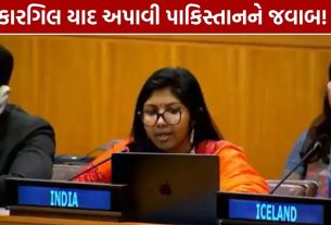 Pakistan UN Attack: કારગિલનો ઉલ્લેખ કરી ભારતે પાકિસ્તાનને ઘેર્યું