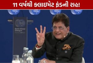 Piyush Goyal Climate Fund: 11 વર્ષ બાદ પણ મદદ નહીં મળતાં અમીર દેશો પર પ્રહાર