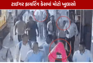 Tiger Shroff Firing Case: સુરતમાં 2 ગેરકાયદે હથિયાર અને 10 કારતૂસ જપ્ત