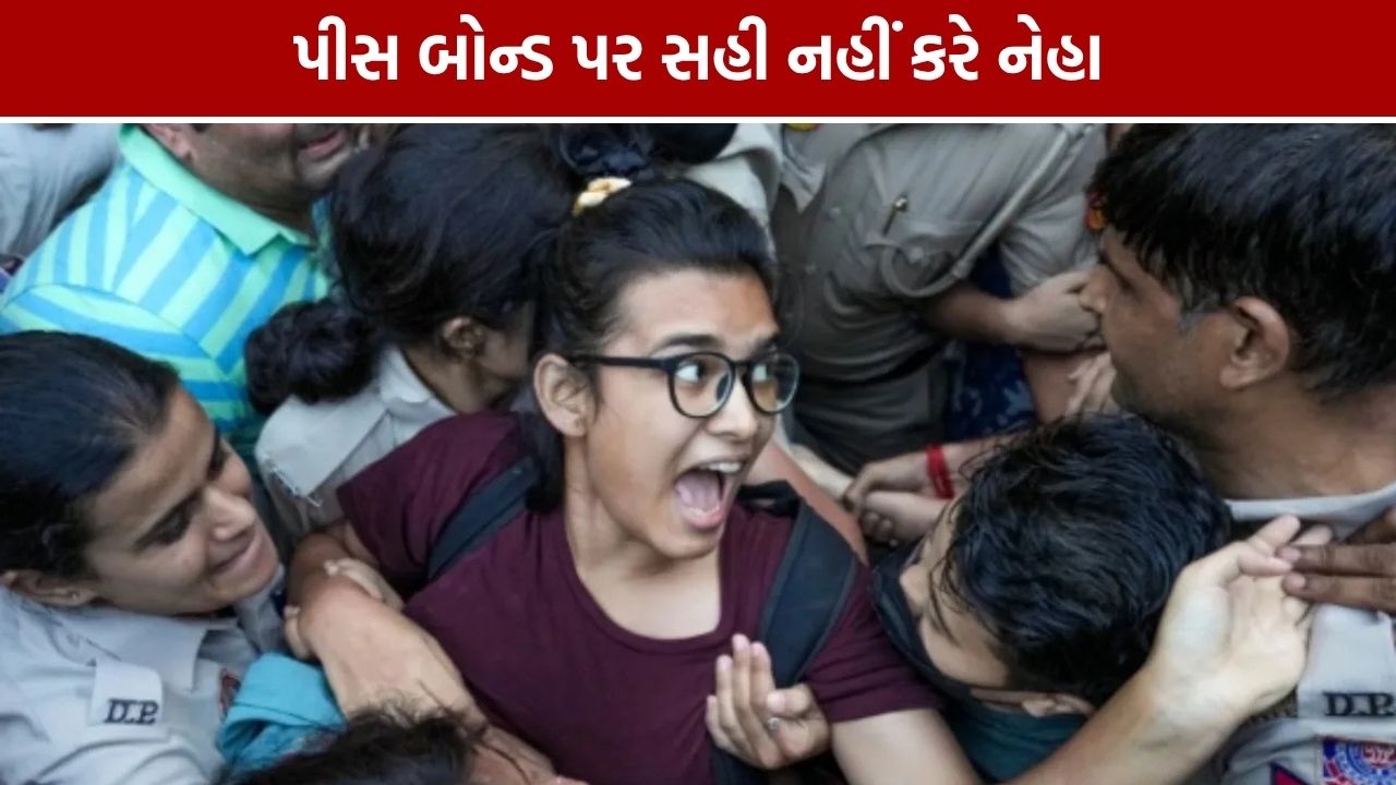 Neha Bora Peace Bond: દિલ્હી HCના નિર્ણય બાદ નેહા બોરાનું મોટું નિવેદન, ‘સહી નહીં કરીએ’