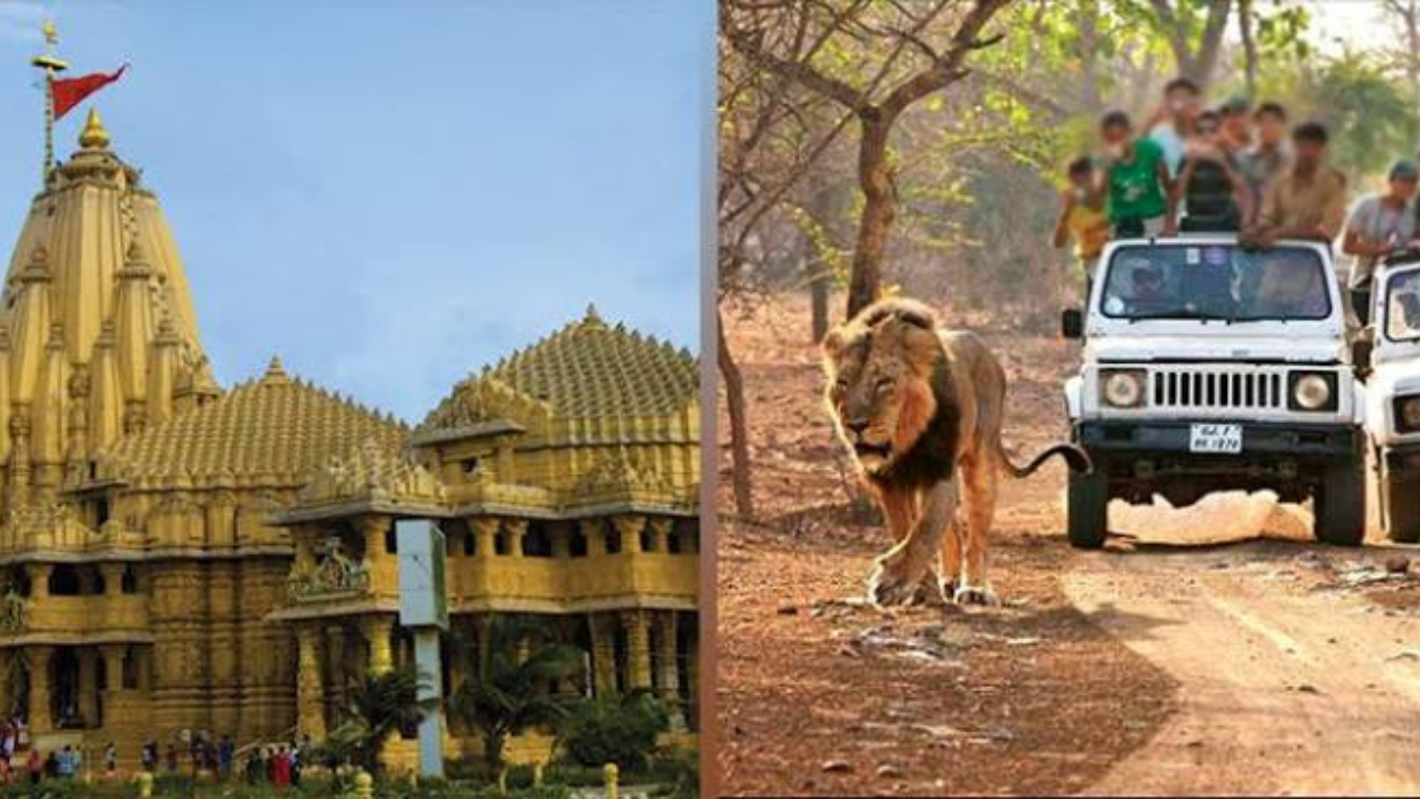 Somnath Non Veg Ban: મંદિર આસપાસ નોનવેજ પ્રતિબંધ હાઈકોર્ટે કર્યો રદ