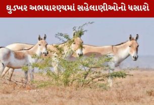 Ghudkhar Sanctuary