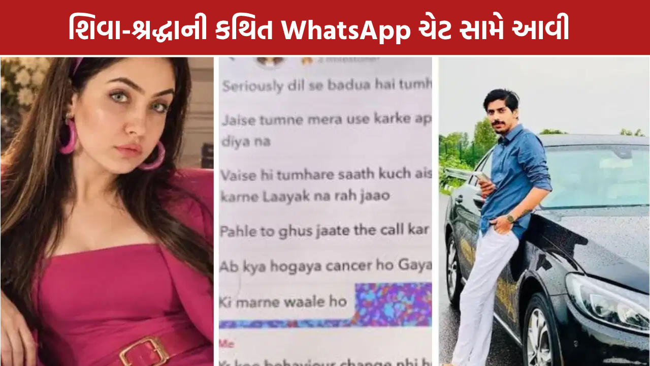 Shiva Shraddha Chat: શિવાની શ્રદ્ધા સાથેની ચેટ સામે આવી