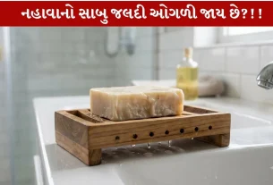 Soap quickly ગળી જાય છે તો શું કરશો? આ 4 Effective Tips અપનાવો!
