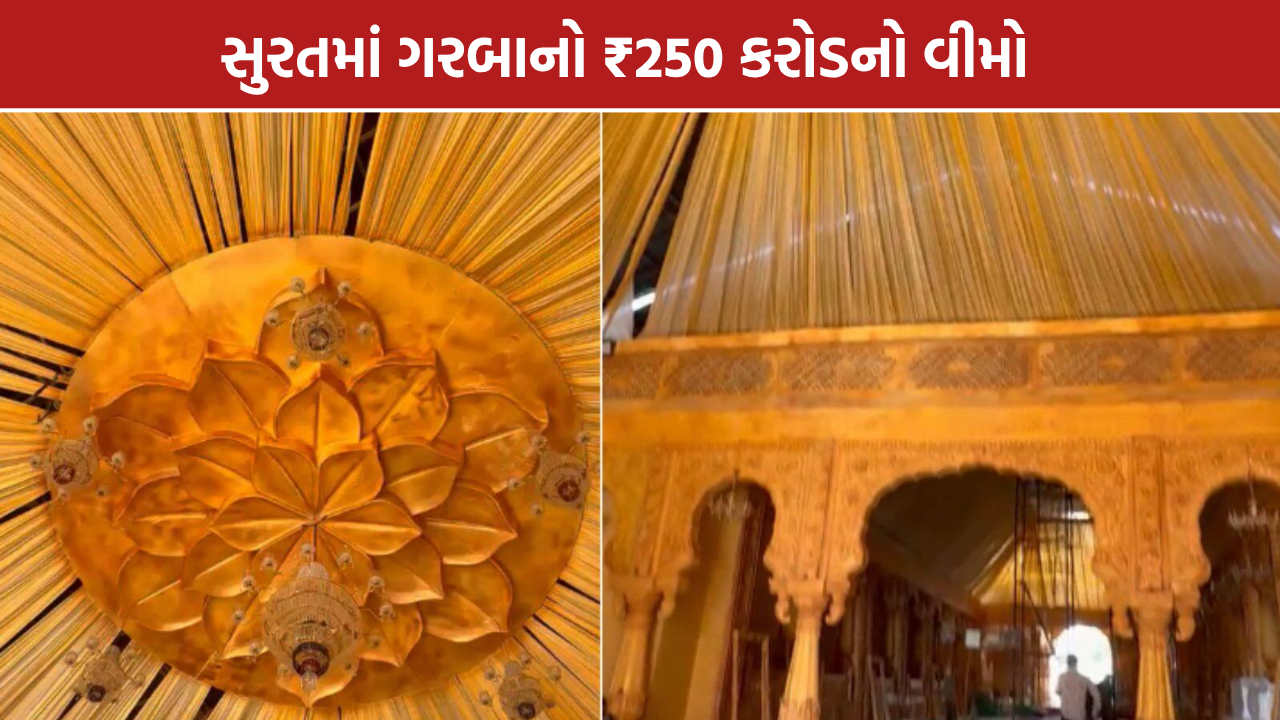 Surat Garba Insurance: સુરતના 6 આયોજકોએ લીધો મોટો વીમો