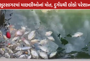 Sursagar Lake: વડોદરાના સુરસાગરમાં માછલીઓનાં મોત, દુર્ગંધથી લોકો પરેશાન
