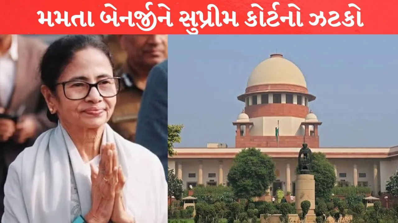 TMC SC decision freezing bank accounts