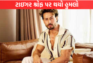 Tiger Shroff પર થયો હુમલો