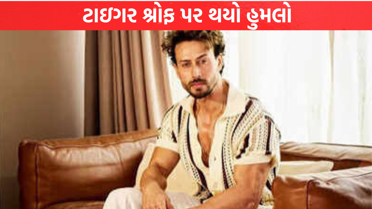 Tiger Shroff પર થયો હુમલો