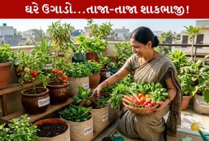 Vegetables ને ઘરે જ ઉગાડવાની ટિપ્સ...6 બીજ ઑક્ટોબરમાં Sure વાવો!