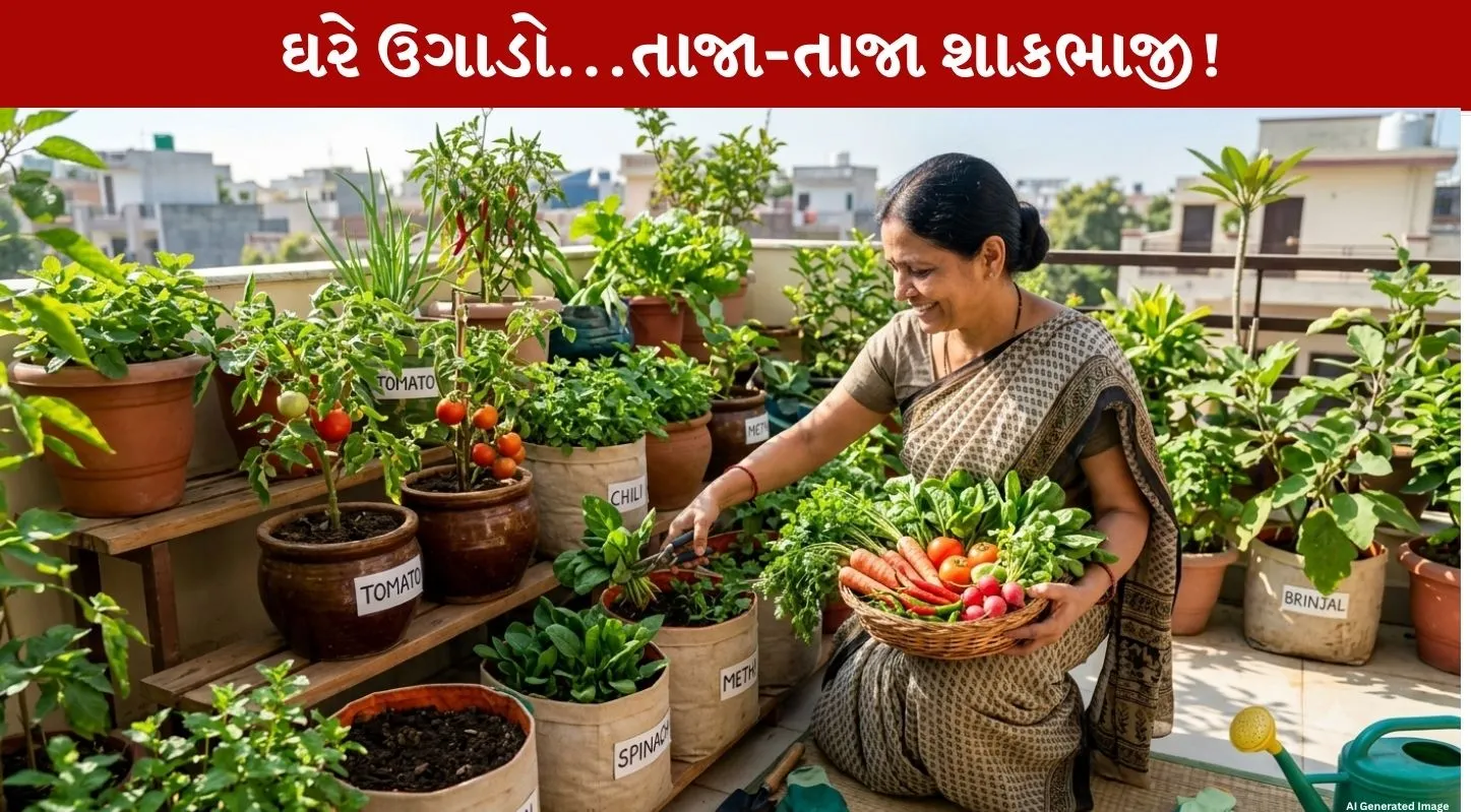 ઓક્ટોબરમાં લગાવો આ 6 શાકભાજીના બીજ…શિયાળામાં ખાઈ શકશો ઘરનું તાજું-તાજું શાક!