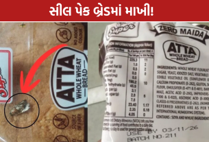 Vadodara Bread News: સીલ પેક બ્રેડમાંથી 1 માખી નીકળ્યાની ફરિયાદ, SHOCKING FOOD SAFETY ALERT