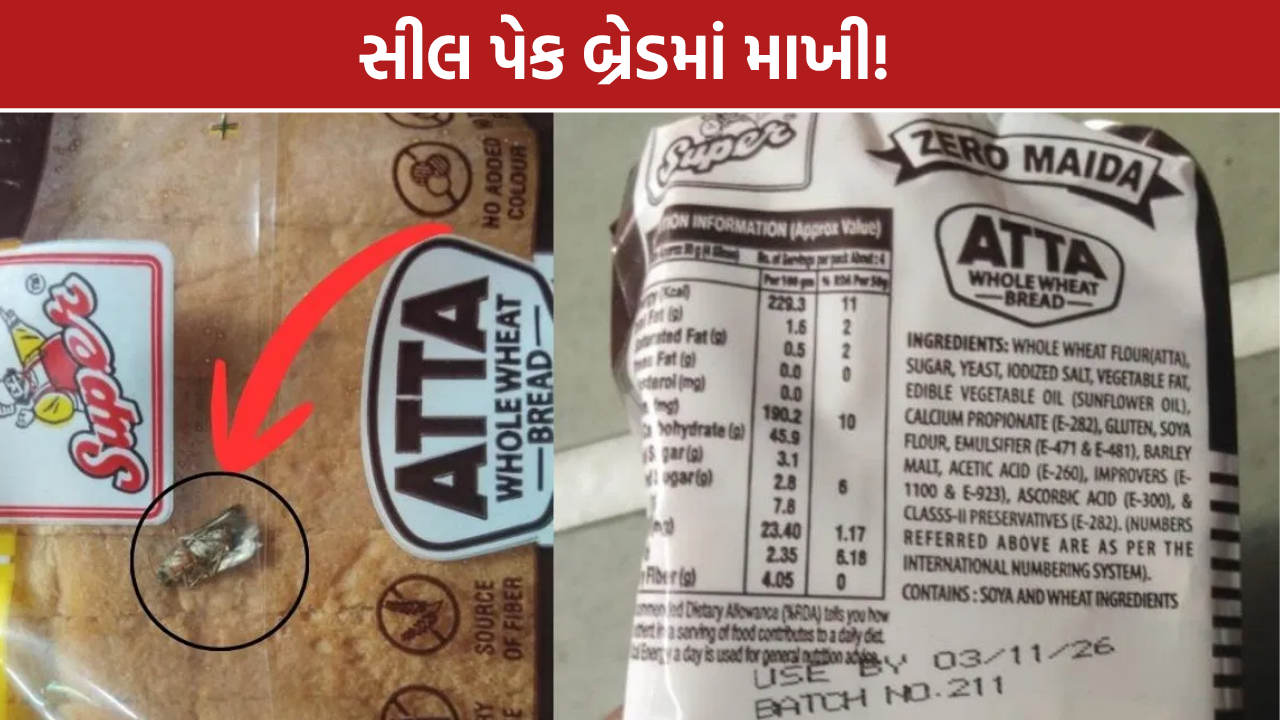વડોદરામાં સીલ પેક બ્રેડમાંથી માખી નીકળ્યાનો આક્ષેપ, ગ્રાહકે વીડિયો વાયરલ કરી તપાસની માગ કરી