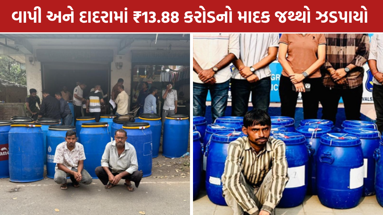 Vapi Cannabis Bust: વાપી અને દાદરામાં ₹13.88 કરોડનો માદક જથ્થો ઝડપાયો
