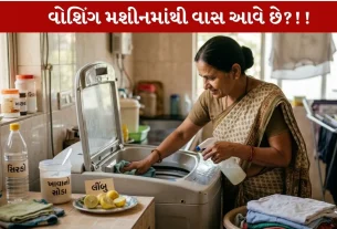Washing Machine ની જીદ્દી વાસને દૂર કરવાના 4 Powerful ઘરગથ્થુ નુસખા!