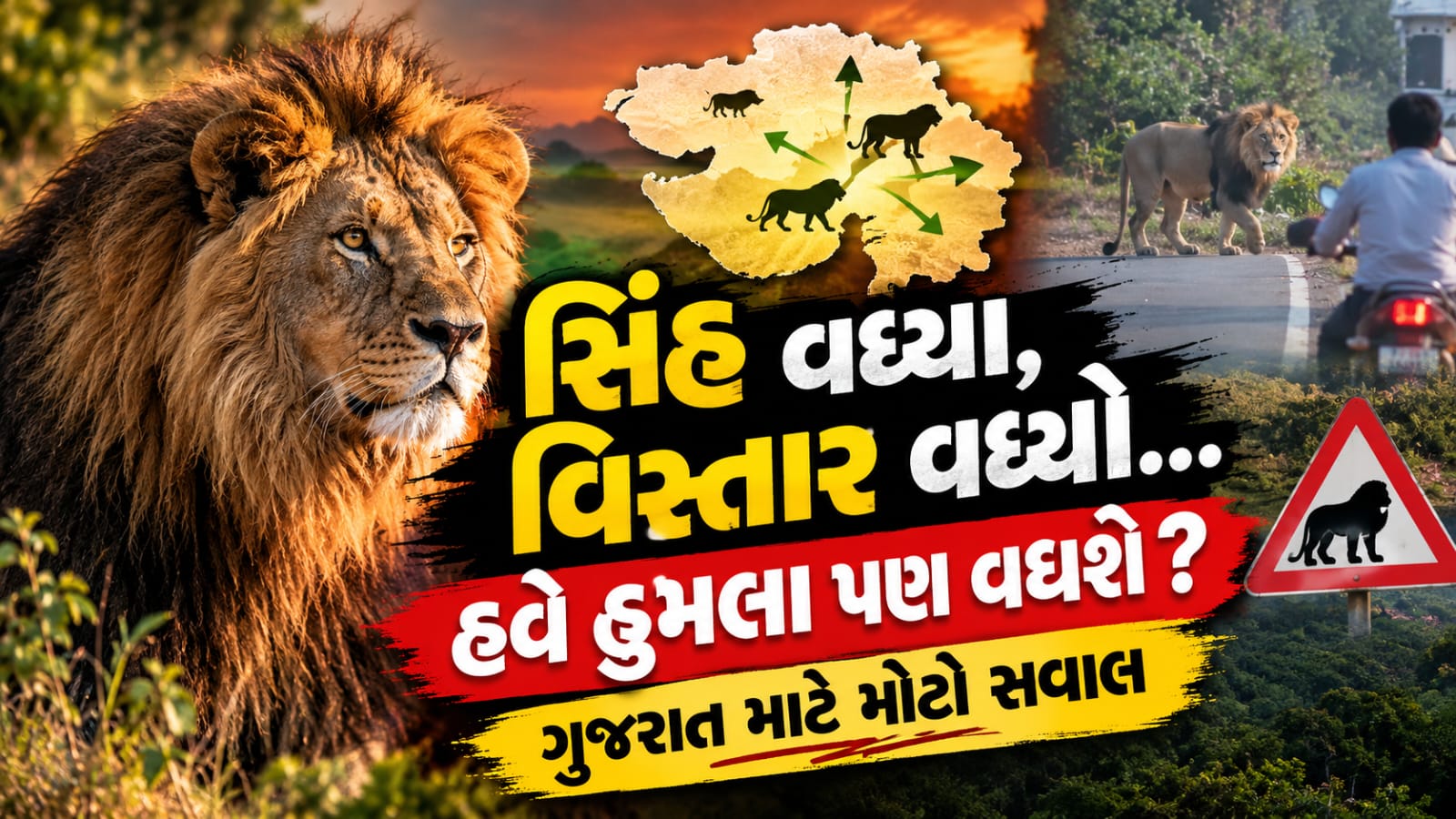 Lion Attack Gujarat: ગુજરાતમાં સિંહોના હુમલા કેમ વધી રહ્યા છે?