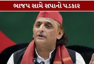 સમાજવાદી પાર્ટીના વડા અખિલેશ યાદવે (Akhilesh Yadav)આગામી ચૂંટણી માટે પોતાની રણનીતિનો મહત્ત્વનો સંકેત આપ્યો છે