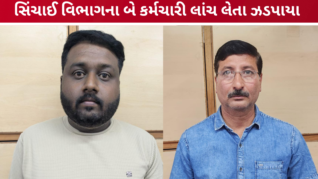 amreli