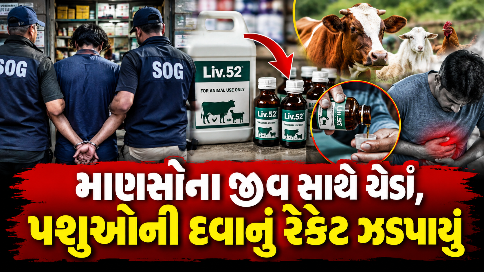 સુરતમાં માણસોને પશુઓની દવા વેચવાનું કૌભાંડ ઝડપાયું, ગોપીપુરાના મેડિકલ સંચાલકની ધરપકડ
