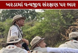 પોરબંદર લોકસભાના સાંસદ  ડૉ. મનસુખભાઈ માંડવિયા (Mansukh Mandaviya)એ બરડા ડુંગર (Barda Dungar)વિસ્તારમાં સફારી દરમિયાન 147વર્ષ બાદ ફરી વસવાટ કરતા સિંહનાં દર્શન (Barda Hills Lion)કર્યા હતા
