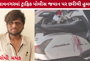 traffic police