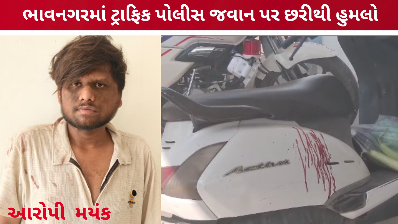 traffic police