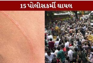 દિલ્હીના જંતર-મંતર પર સોમવારે NSUI દ્વારા આયોજિત વિરોધ પ્રદર્શન (Jantar Mantar protest)દરમિયાન વિવાદાસ્પદ ઘટના સામે આવી છે. અહેવાલો અનુસાર, પ્રદર્શન દરમિયાન એક CAPF જવાન પર તીક્ષ્ણ વસ્તુથી હુમલો (CAPF jawan attack)કરવામાં આવ્યો હતો