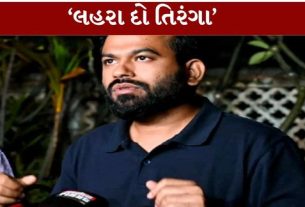 કોકરોચ જનતા પાર્ટી (CJP)ના સ્થાપક અભિજીત દિપકે (Abhijit Dipke)એ દિલ્હી પોલીસ દ્વારા ધરપકડ કરવામાં આવે તેવી શક્યતા વ્યક્ત કરતાં રાજકીય ચર્ચા તેજ કરી છે