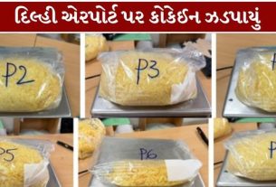 ડાયરેક્ટોરેટ ઓફ રેવેન્યુ ઈન્ટેલિજન્સ (DRI) એ સુઆયોજિત, ઇન્ટેલિજન્સ-આધારિત કામગીરી દ્વારા નાર્કોટિક્સની તસ્કરી ((DRI Drug Seizure))સામેની પોતાની કાર્યવાહી સઘન બનાવી છે,