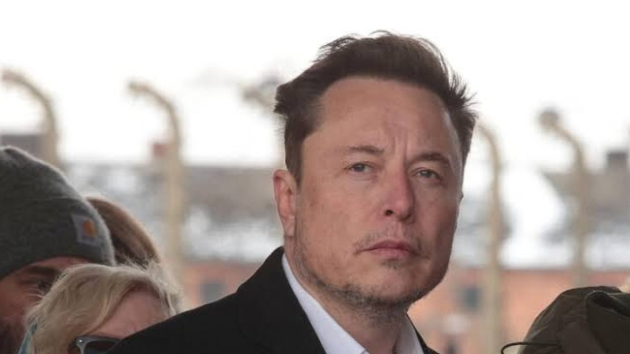 elon musk