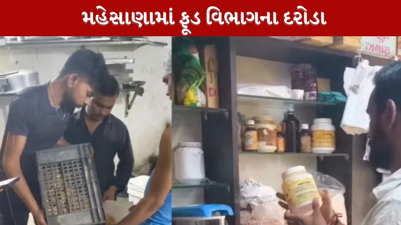 મહેસાણામાં ફૂડ વિભાગની કાર્યવાહી, 20 સ્થળોએ તપાસ અને અખાદ્ય જથ્થાનો નાશ
