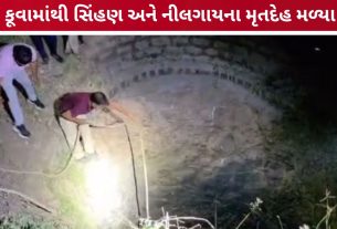 gir somnath