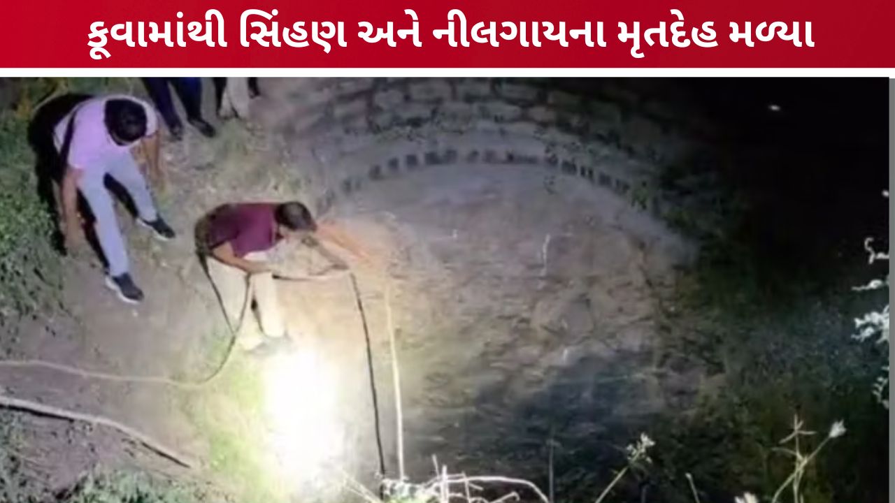 gir somnath