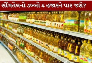 ગુજરાતમાં આ વર્ષે મગફળીના ઉત્પાદનને અસર થતાં સીંગતેલના ભાવ (Groundnut Oil Price)માં વધારો થવાની શક્યતા વ્યક્ત કરવામાં આવી રહી છે