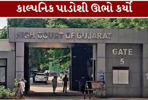 ગુજરાત હાઈકોર્ટે (Gujarat High Court)પોલીસની કામગીરીમાં ગંભીર બેદરકારી અને કથિત બોગસ અહેવાલ (Fake Police Report)ના મામલે કડક વલણ અપનાવ્યું છે