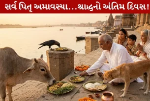 Sarv Pitru Amavasya 2026 એ દાન-પુણ્યનું Auspicious Importance જાણો!