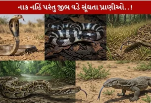 Animals...જે પોતાની જીભ વડે સૂંઘે છે! જાણો એવા 5 Incredible ભારતીય જાનવરો વિશે...