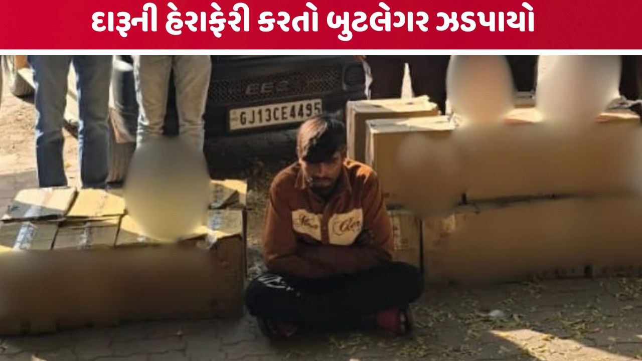 morbi