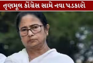 રાજનગર વિધાનસભા બેઠકની પેટાચૂંટણી (Rajnagar Bypoll)માં ભાજપના ઉમેદવાર શંકર સરકારને 1,29,914 મત મળ્યા હોવાનો દાવો કરવામાં આવ્યો છે,
