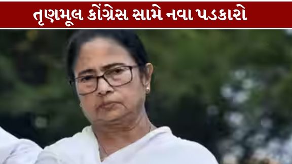 રાજનગર વિધાનસભા બેઠકની પેટાચૂંટણી (Rajnagar Bypoll)માં ભાજપના ઉમેદવાર શંકર સરકારને 1,29,914 મત મળ્યા હોવાનો દાવો કરવામાં આવ્યો છે,