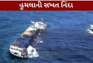 હોર્મુઝ સ્ટ્રેટ (Strait of Hormuz)માં ફરી એકવાર વાણિજ્યિક જહાજને નિશાન બનાવવામાં આવ્યું છે.