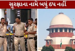 દિલ્હીમાં 10 ઓક્ટોબર 2026ના રોજ યોજાનારા કોકરોચ જનતા પાર્ટી (CJP)ના વિરોધ પ્રદર્શન પહેલાં સુરક્ષાનાં પગલાંને લઈને સુપ્રીમ કોર્ટે (Supreme Court)ચિંતા વ્યક્ત કરી છે.